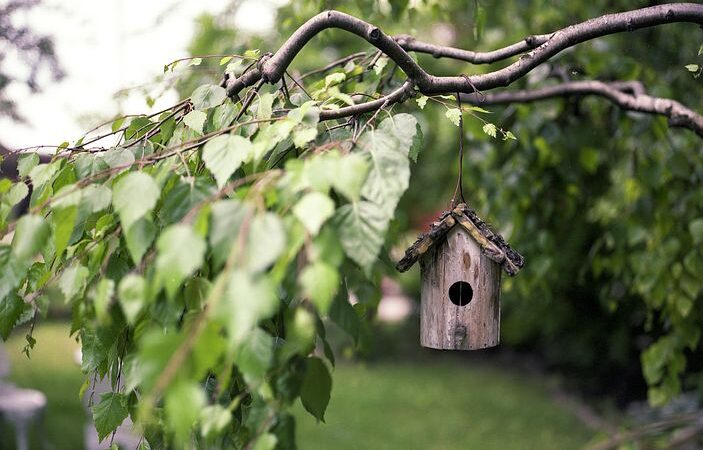Vogelfutterhӓuser im Garten