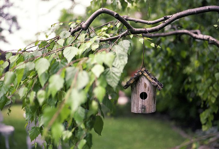 Vogelfutterhӓuser im Garten